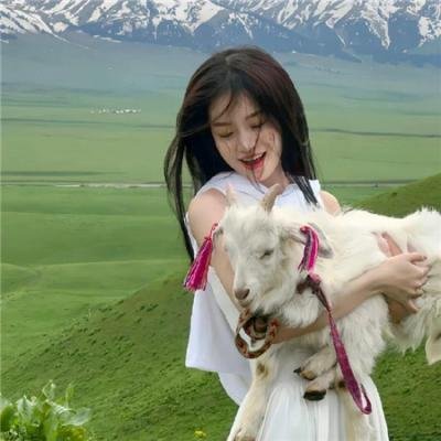 堕落的偶像