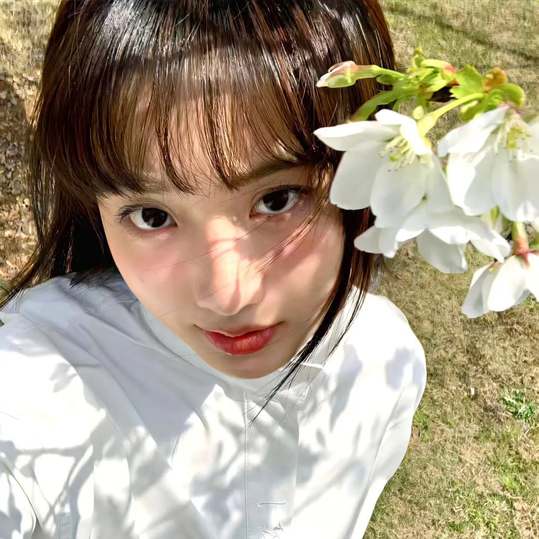 芭比与姐妹之赛马记