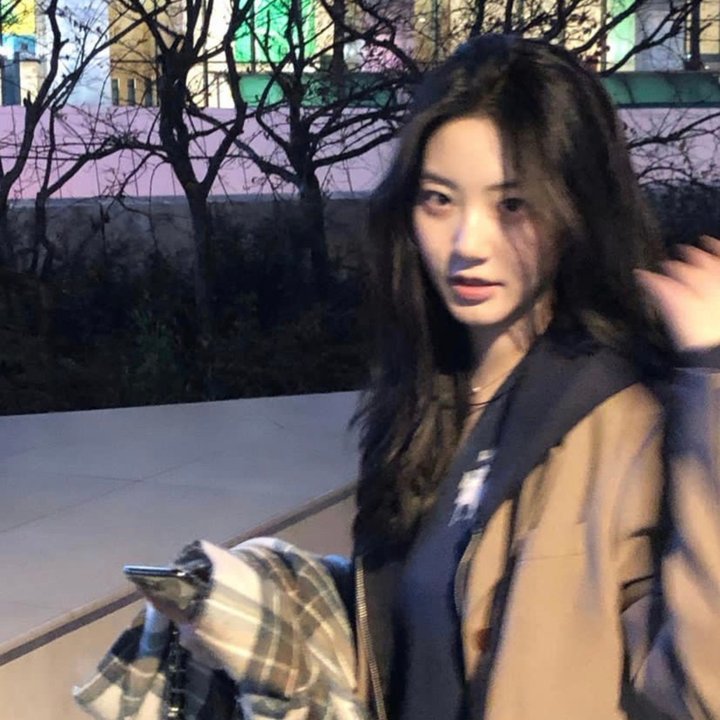爱莉思的情书